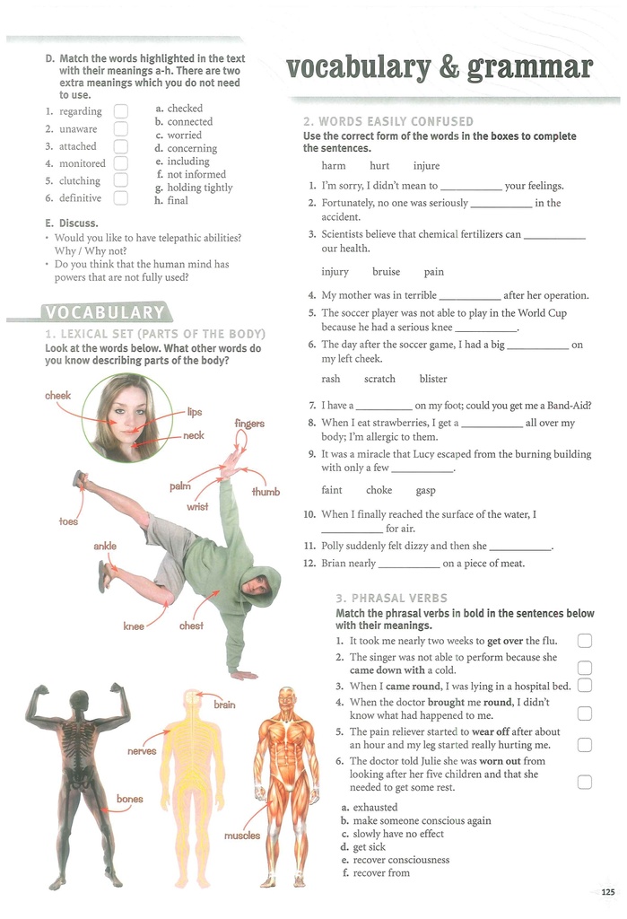 8B Vocabulary and Grammar
