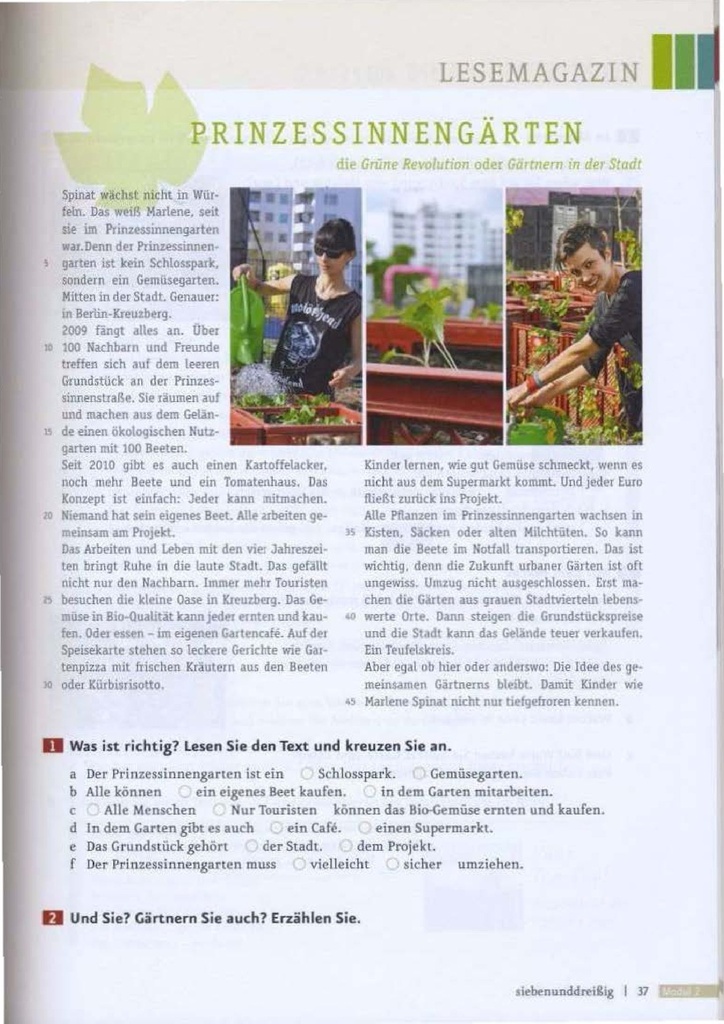 Lesemagazin (seite 37)